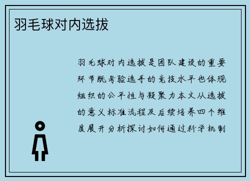 羽毛球对内选拔